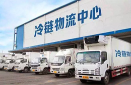 政策福利！冷鏈物流企業(yè)最高可領(lǐng)500萬元補(bǔ)貼