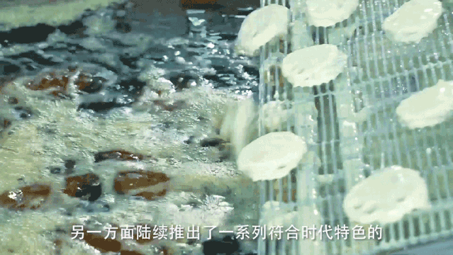 1564996050467775.png ou (1).png