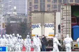 武漢華南海鮮市場完成大規(guī)模消殺；牛蛙、烏龜不列入禁食范圍