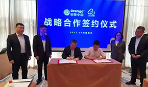 看起來很美、做起來很苦：凍品廠商自營電商痛點(diǎn)怎么破？