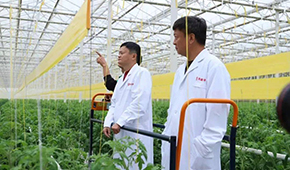 馬家廚房？馬家秘制老鴨煲？馬云的“假動作”為何讓市場興奮？