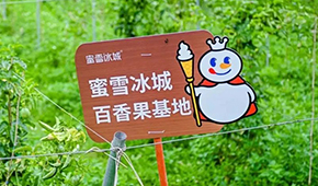今日上市！覆蓋全球六大洲38個國家，“雪王”的采購網到底有多牛？